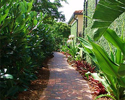 Landscape Maintenance, Sarasota, FL