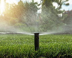 Irrigation Installation, Sarasota, FL Irrigation Installation, Sarasota, FL