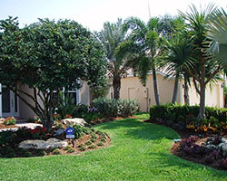 Landscape Installation, Sarasota, FL Landscape Installation, Sarasota, FL