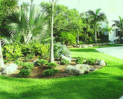 Lawn Mowing, Sarasota, FL Lawn Mowing, Sarasota, FL